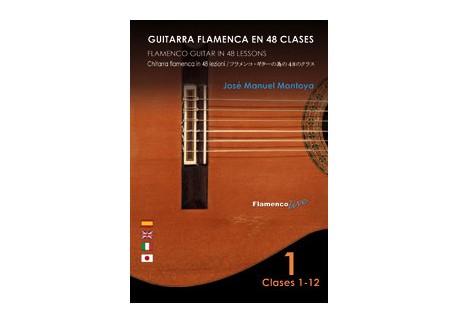 4 Essential Flamenco Guitar Lessons National Guitar Academy