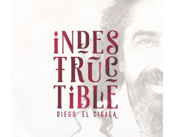 Diego el Cigala - Indestructible  CD