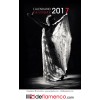 Flamenco Calendar 2017 (Pack 6 items)