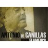 Antonio de Canillas - Puro Flamenco