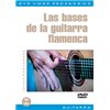 Las bases de la guitarra flamenca