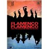 Flamenco, flamenco - DVD PAL