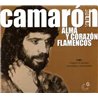 Alma y corazón flamencos. 3 CD