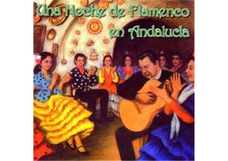 Una noche de Flamenco en Andalucía