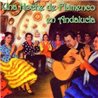 Una noche de Flamenco en Andalucía