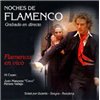 Noches de Flamenco. Vol. 6. Flamenco en vivo CD