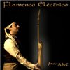 Flamenco eléctrico