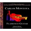 Flamenco Guitar 2Cd deluxe edition