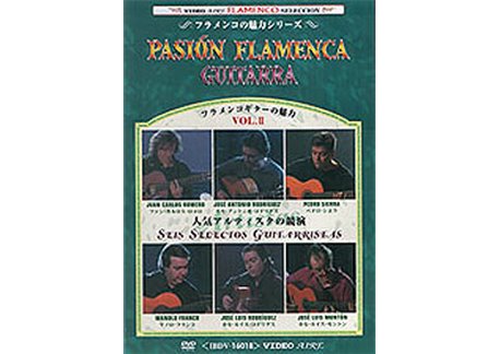 Pasión Flamenca.  Guitarra,  Vol. 2 (NTSC)