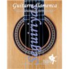 Guitarra Flamenca vol. 7. SEGUIRIYAS. DVD + CD
